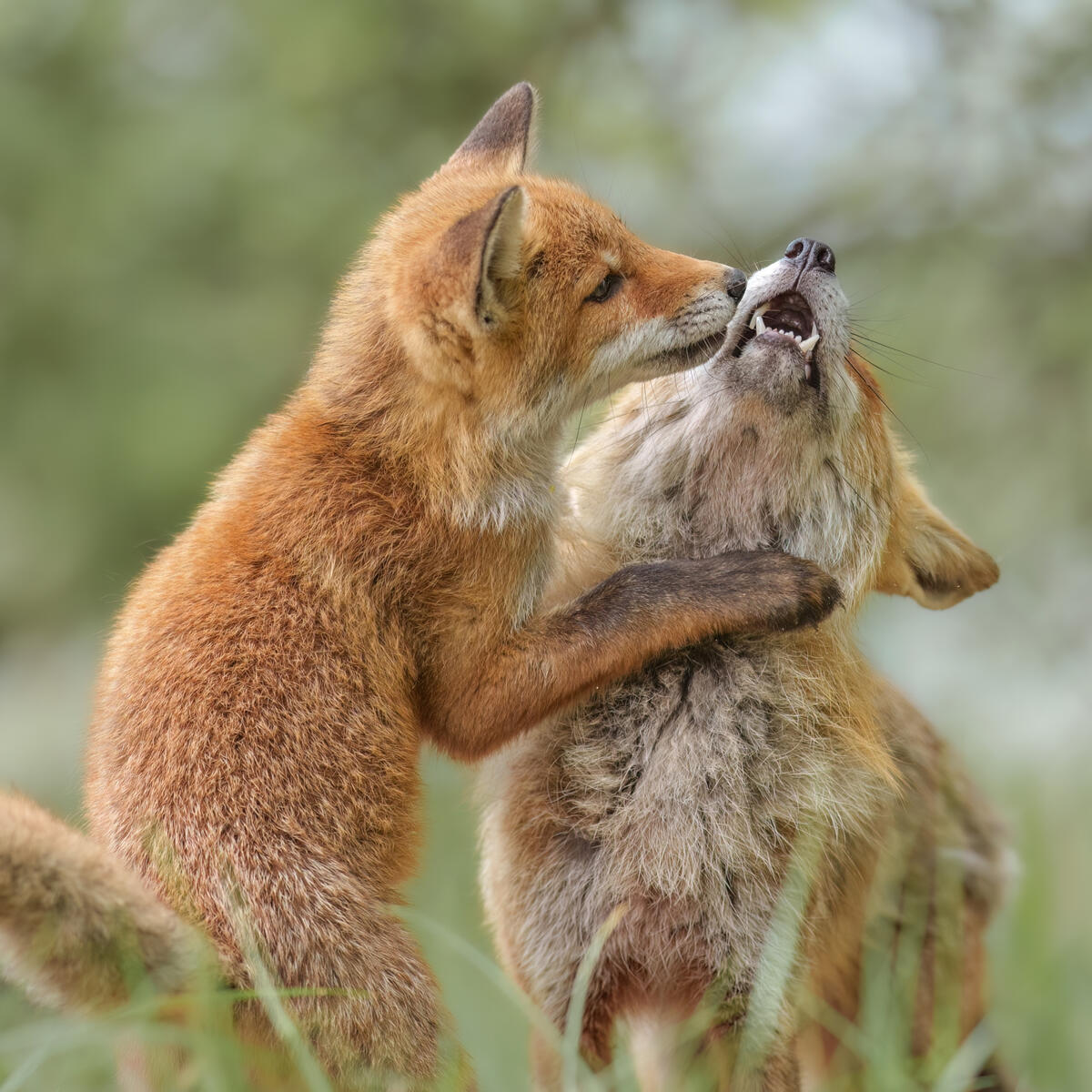 Mother & Son