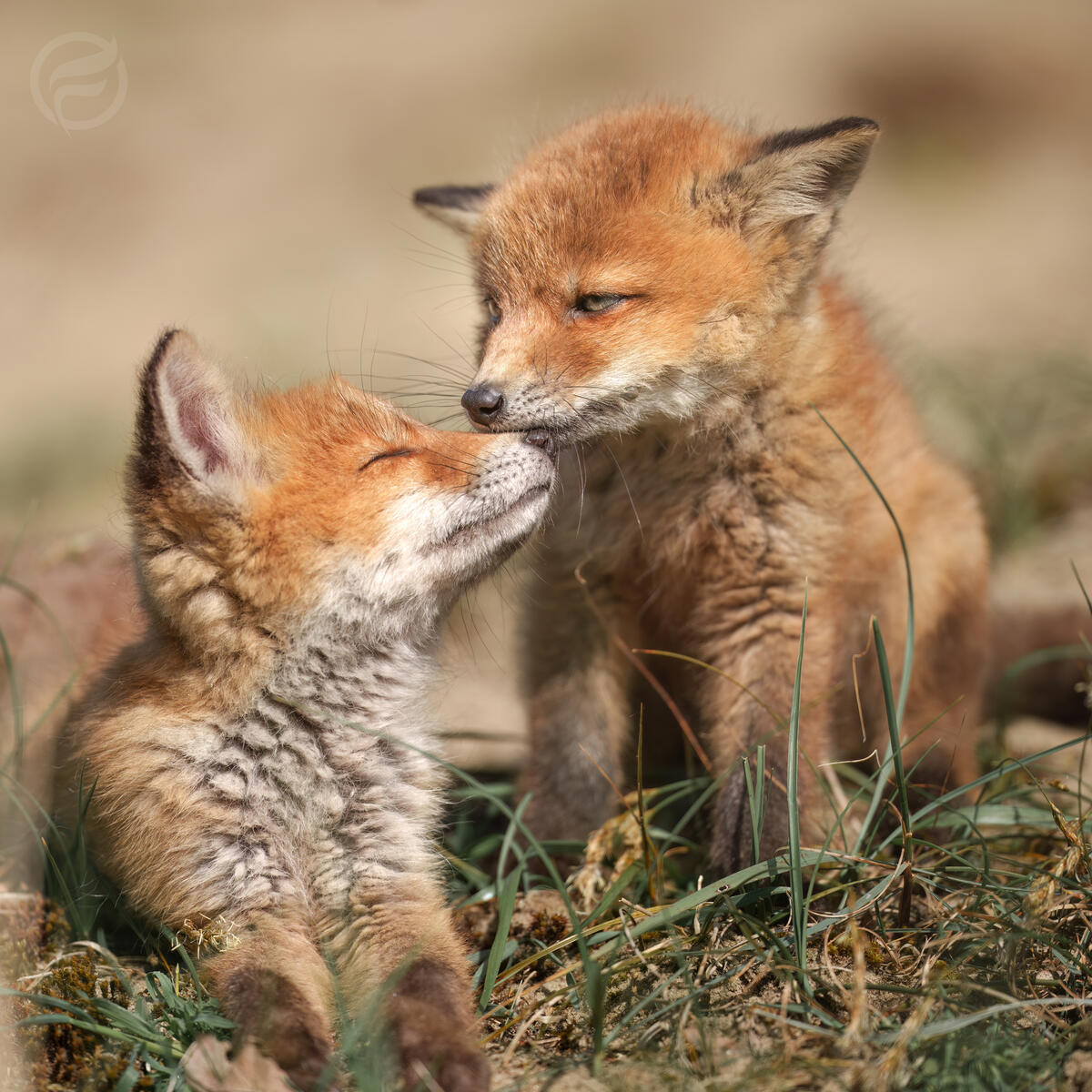 Best Friends