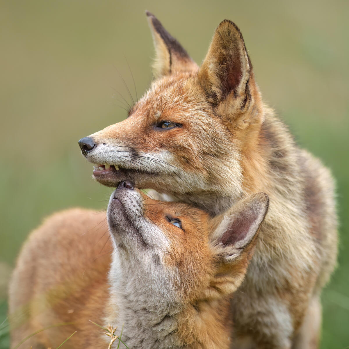 Mother & Son